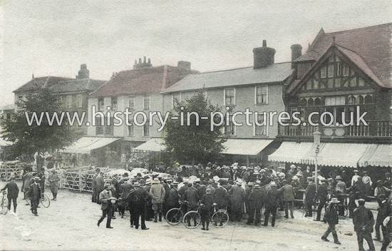 Market Day, Epping, Essex. c.1905